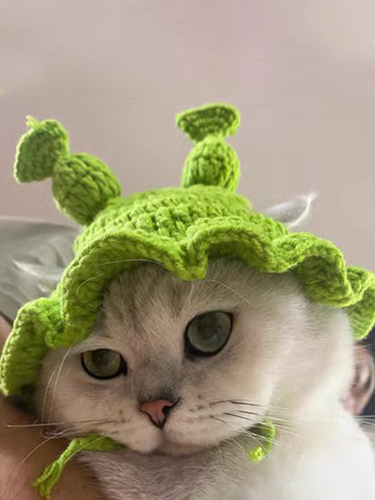 Klasicky navržený Oblečení