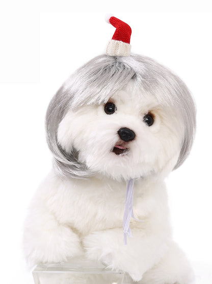 Dog Hair Wig elevenforest