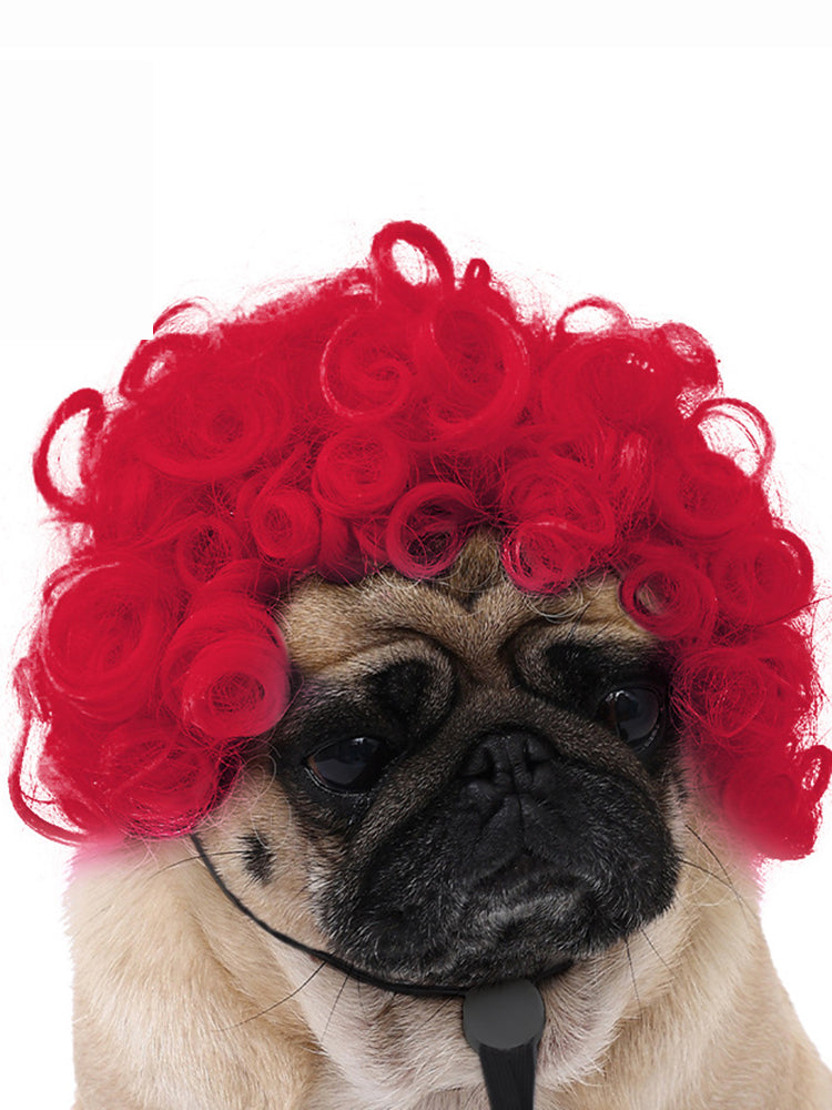 Dog Hair Wig elevenforest
