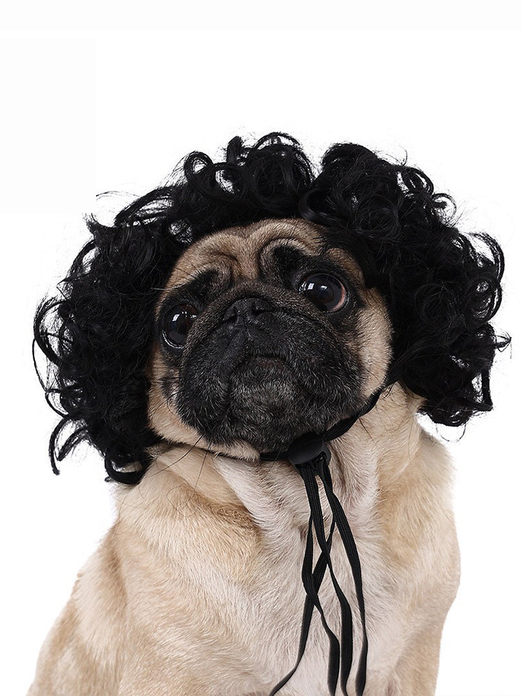 Dog Hair Wig elevenforest